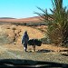 les pistes de quad au Maroc